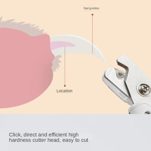 Animal Nail Grooming Tool: LED Light Clipper Scissors for Dogs and Cats