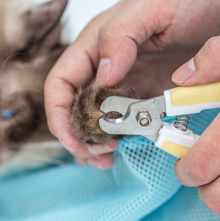 Adjustable Soft Cat Grooming Bag | Multifunctional Mesh for Bathing & Nail Trimming