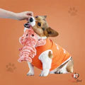 Wiggly Lobster - Interactive Dog Toy
